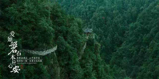 植物大战僵尸2